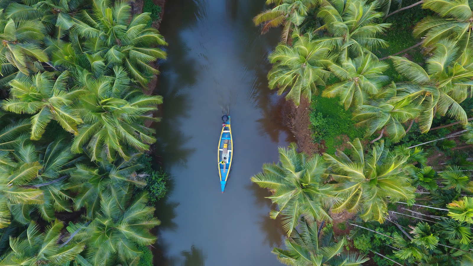 Explore Kerala with Your Family: A Complete Guide to the Best Kerala Family Tour Package 