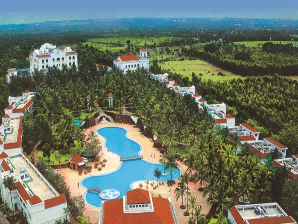 Golden palms and resorts