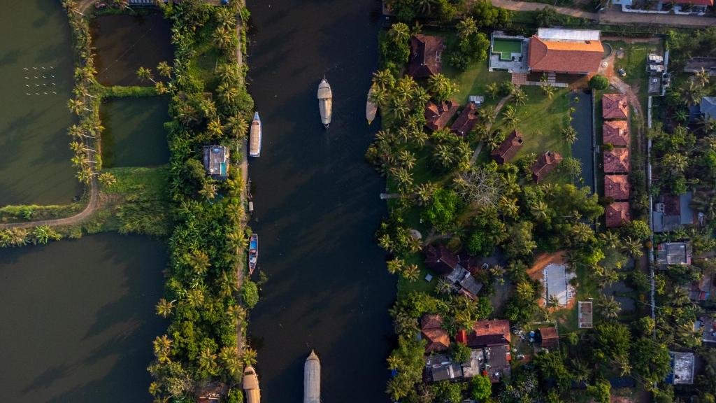 Palmgrove Lake Resort
